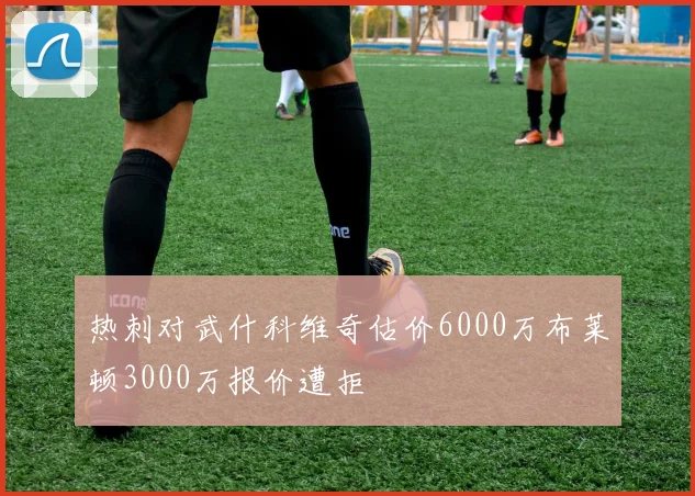 热刺对武什科维奇估价6000万布莱顿3000万报价遭拒